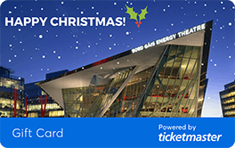 Bord Gáis Energy Theatre - Christmas